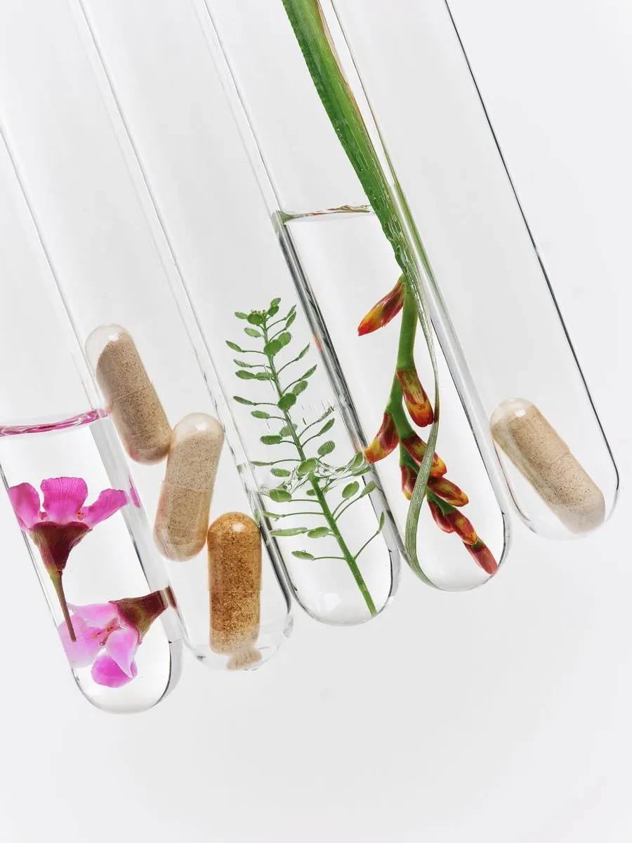 Kosbiotic — Still Life 2025 — Metro & bus campaign (4/10)